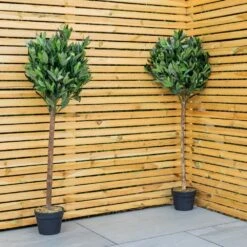 Woodside Artificial Topiary Bay Leaf Tree 4ft Indoor Outdoor Plant (pack Of 2)