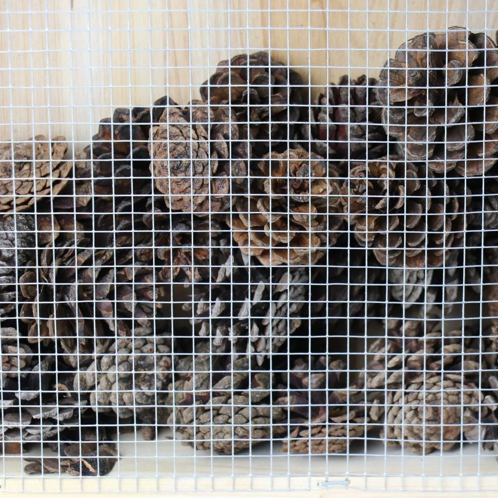 Woodside Standing Wooden Insect Hotel With Ground Stakes, Outdoor Bug/Bee House - Image 12