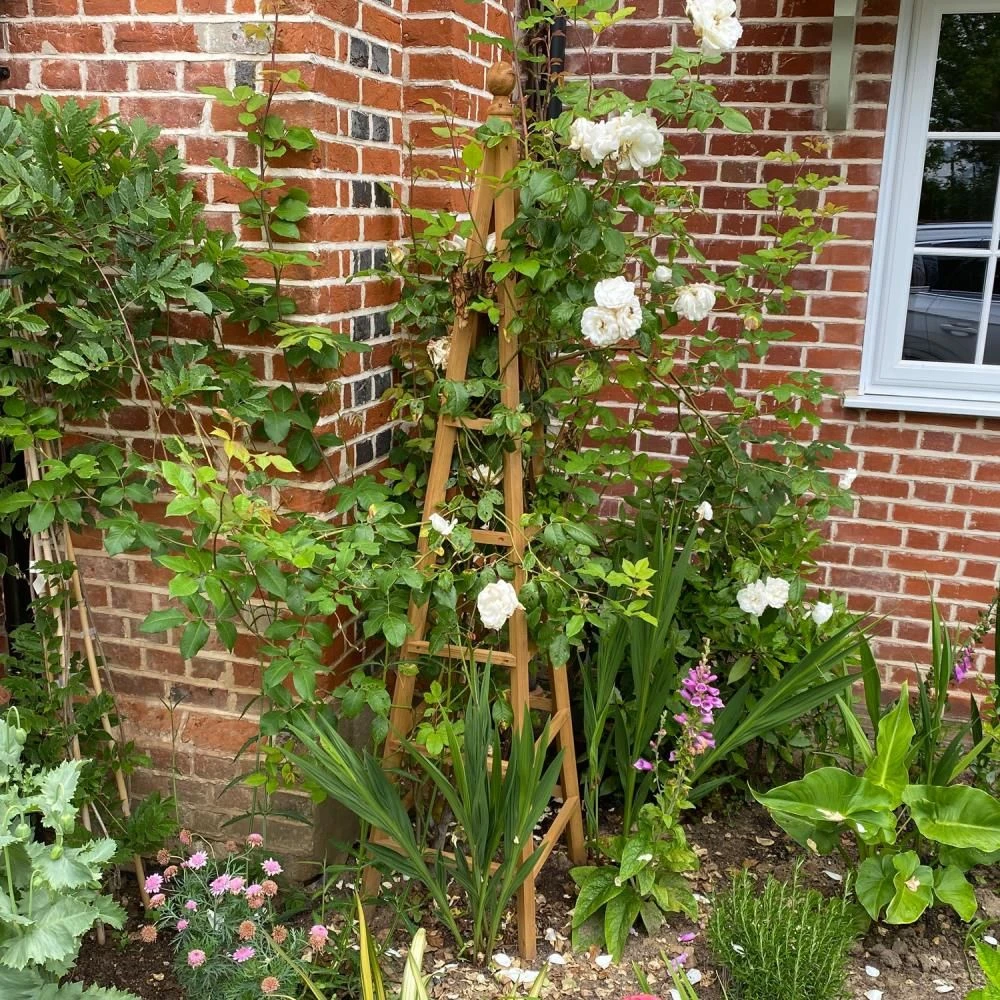 Woodside Wooden Garden Obelisk Pyramid Plant Support Trellis Climbing Frame - Image 5